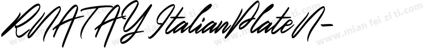 RNATAY ItalianPlateN字体转换
